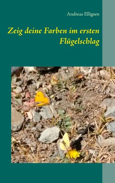 Cover von Zeig deine Farben im ersten Flügelschlag