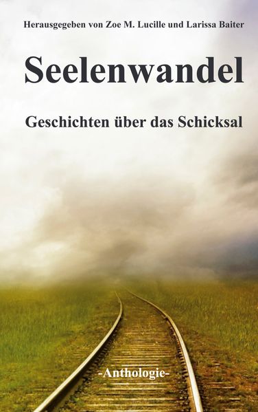 Cover von Seelenwandel: Geschichten über das Schicksal