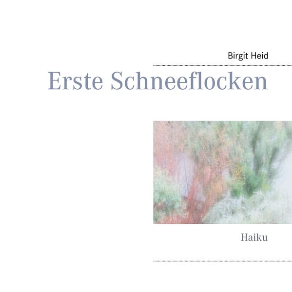 Cover von Erste Schneeflocken