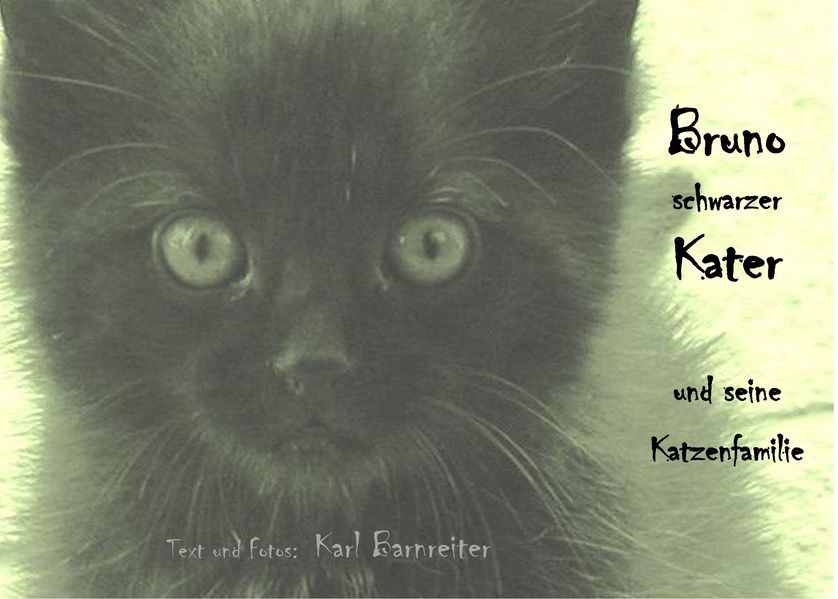 Cover von Bruno schwarzer Kater