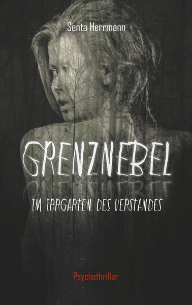 Cover von Grenznebel