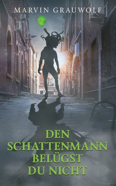 Cover von Den Schattenmann belügst du nicht