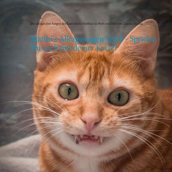 Cover von Matthi’s Alltagssorgen Teil 2 – Sprichst Du auch mit deiner Katze?