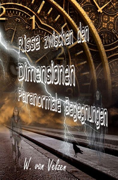 Cover von Risse zwischen den Dimensionen
