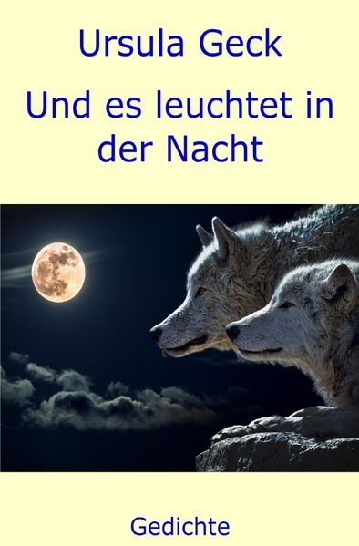 Cover von Und es leuchtet in der Nacht