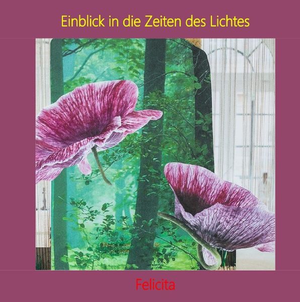 Cover von Einblick in die Zeiten des Lichtes