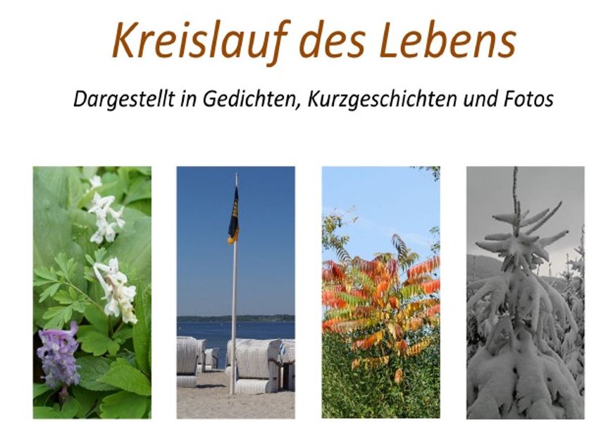 Cover von Kreislauf des Lebens