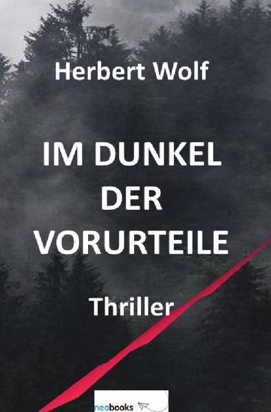 Cover von Im Dunkel der Vorurteile