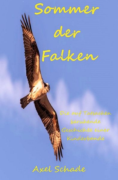 Cover von Sommer der Falken