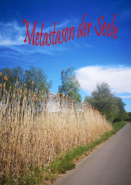 Cover von Metastasen der Seele / 2019
