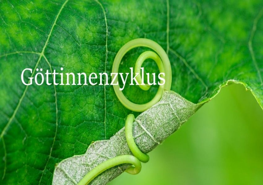 Cover von Göttinnenzyklus
