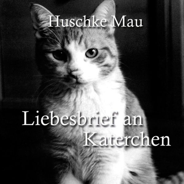 Cover von Liebesbrief an Katerchen
