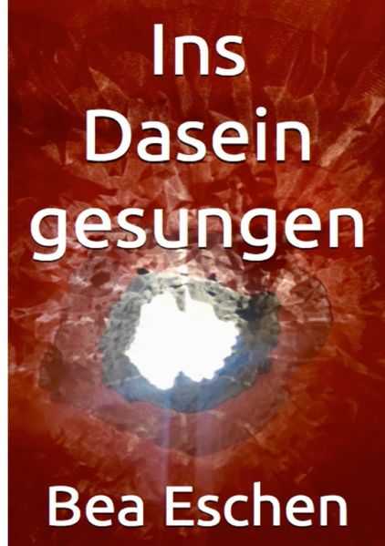 Cover von Ins Dasein Gesungen
