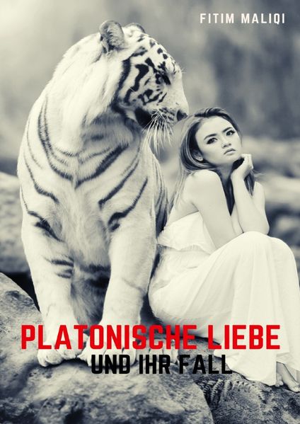 Cover von Platonische Liebe und ihr Fall