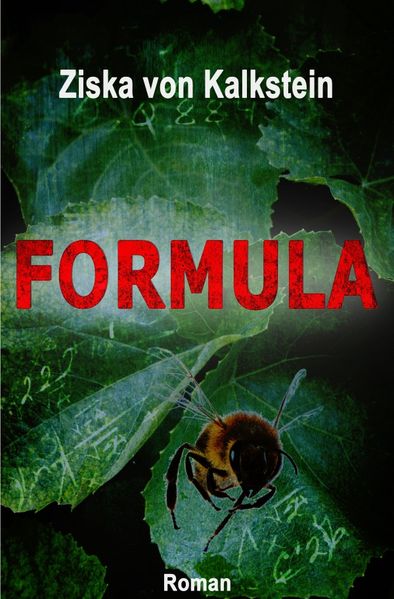 Cover von Formula