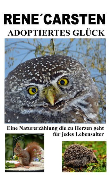 Cover von Adoptiertes Glück