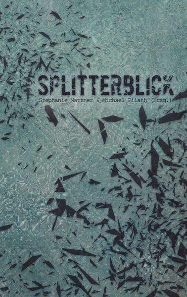 Cover von SplitterBlick