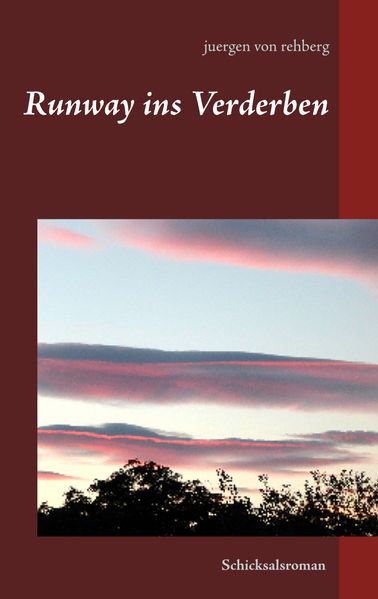 Cover von Runway ins Verderben