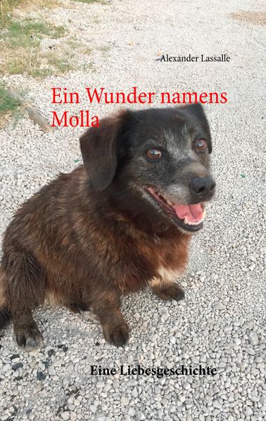 Cover von Ein Wunder namens Molla