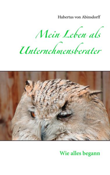 Cover von Mein Leben als Unternehmensberater
