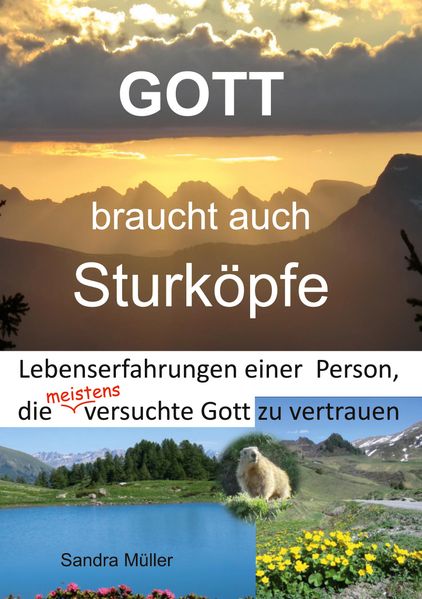 Cover von Gott braucht auch Sturköpfe