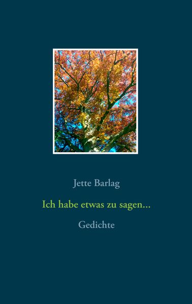 Cover von Ich habe etwas zu sagen…