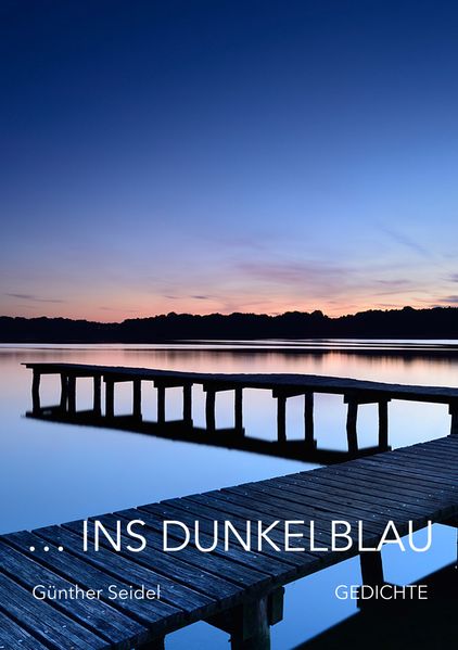 Cover von ins dunkelblau