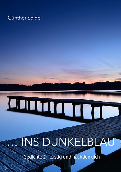 Cover von ins dunkelblau