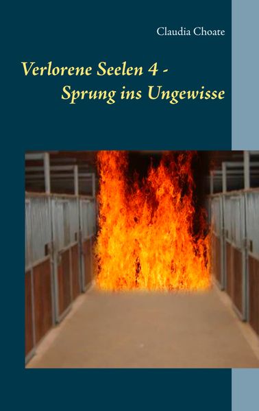 Cover von Verlorene Seelen 4 – Sprung ins Ungewisse