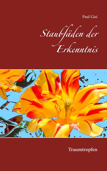 Cover von Staubfäden der Erkenntnis
