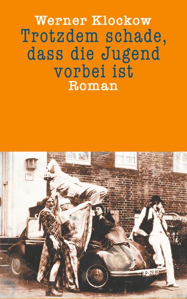 Cover von Trotzdem schade, dass die Jugend vorbei ist