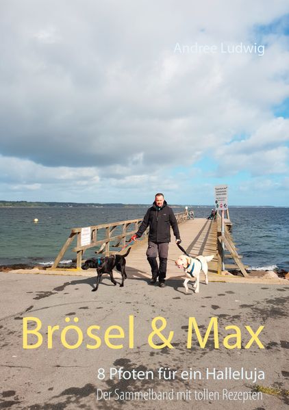 Cover von Brösel & Max
