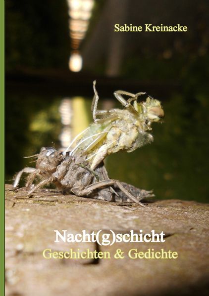 Cover von Nacht(g)schicht