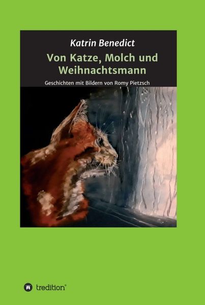 Cover von Von Katze, Molch und Weihnachtsmann