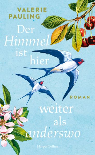 Cover von Der Himmel ist hier weiter als anderswo