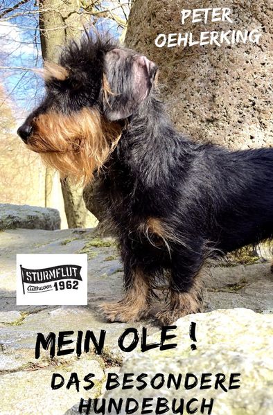 Cover von Mein Ole