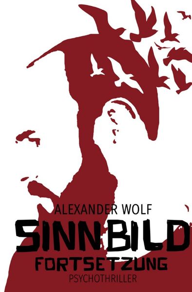 Cover von SINNBILD / SINNBILD Fortsetzung