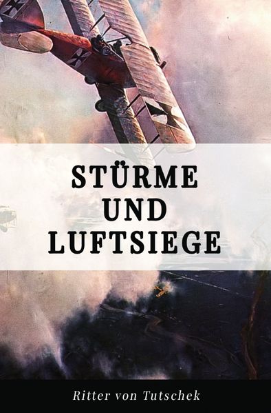 Cover von Stürme und Luftsiege