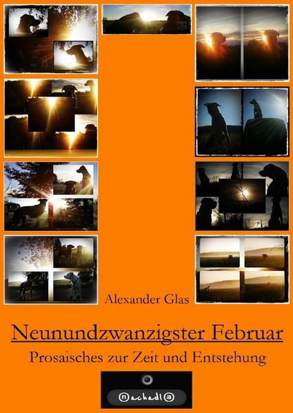 Cover von NEUNUNDZWANZIGSTER FEBRUAR