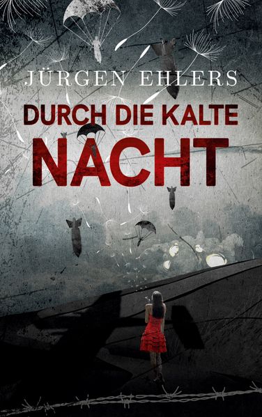 Cover von Durch die kalte Nacht