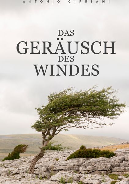Cover von Das Geräusch des Windes