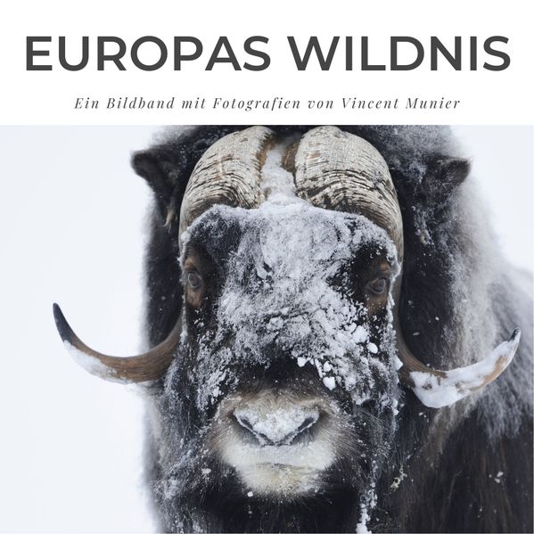 Cover von Europas Wildnis