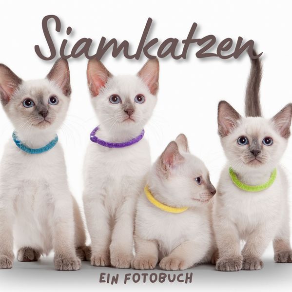 Cover von Siamkatzen