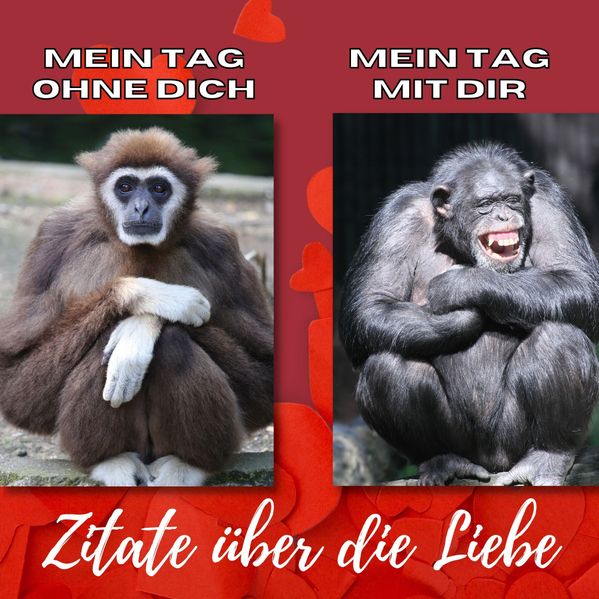 Cover von Mein Tag ohne dich – Mein Tag mit dir