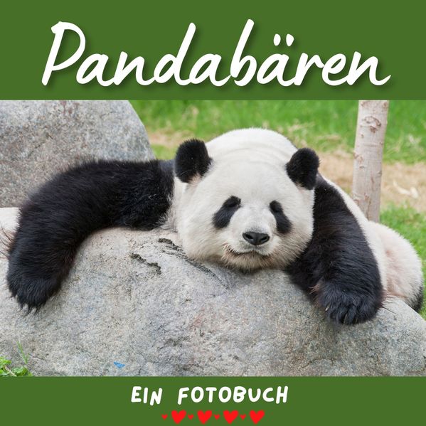 Cover von Pandabären