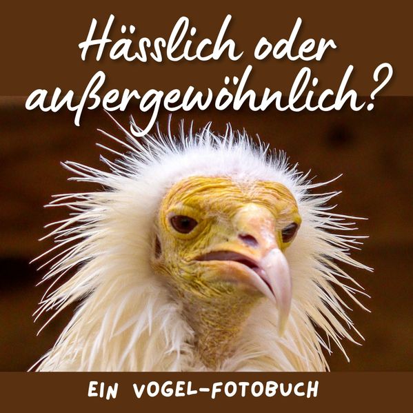Cover von Hässlich oder außergewöhnlich?