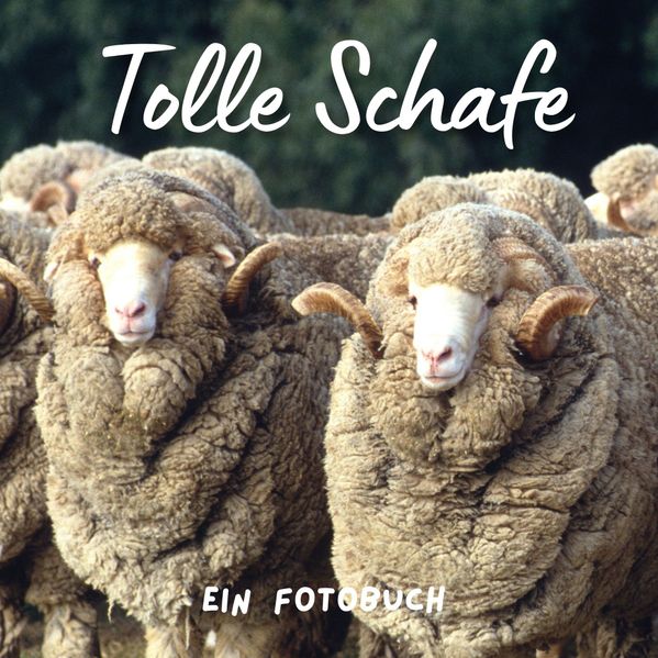 Cover von Tolle Schafe