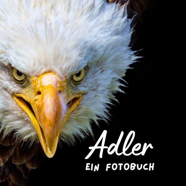 Cover von Adler