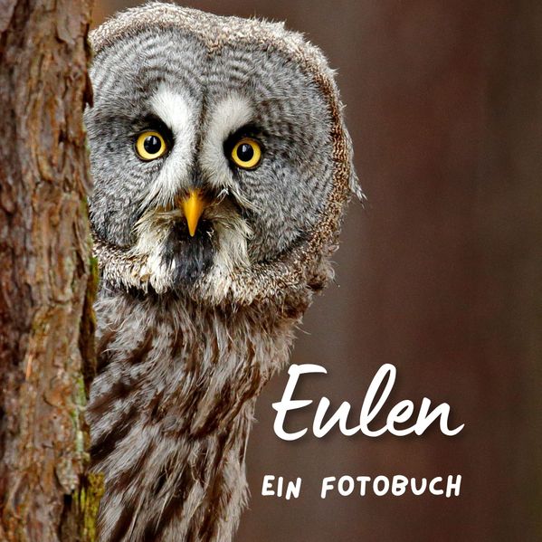 Cover von Eulen