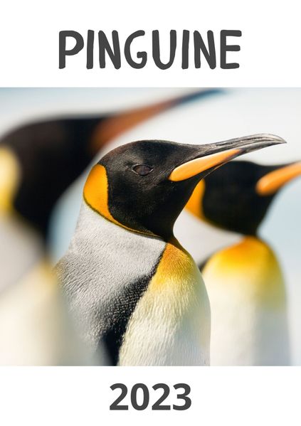 Cover von Pinguine 2023